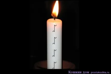 Чистка руной квеорт, котячий будинок