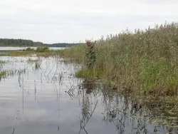 У чому піти на весняне полювання () У чому піти на весняне полювання