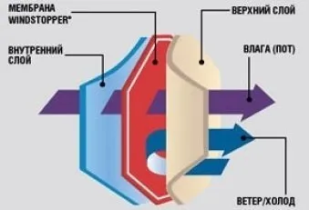 У чому різниця між мембраною gore-tex і віндстопером (gore-tex) У чому різниця між мембраною gore-tex і віндстопером
