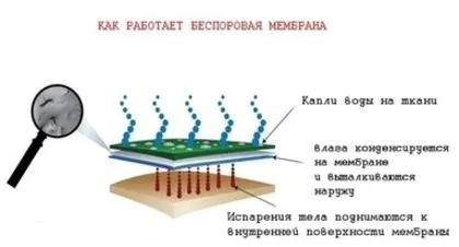 вибір куртки