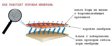 вибір куртки