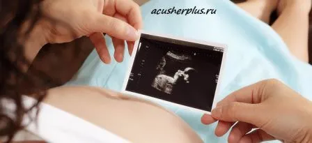 Узі плода 4-5 тижнів - які розміри найважливіші (плода) Узі плода 4-5 тижнів - які розміри найважливіші
