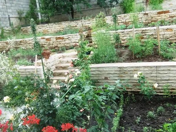 види геопластики