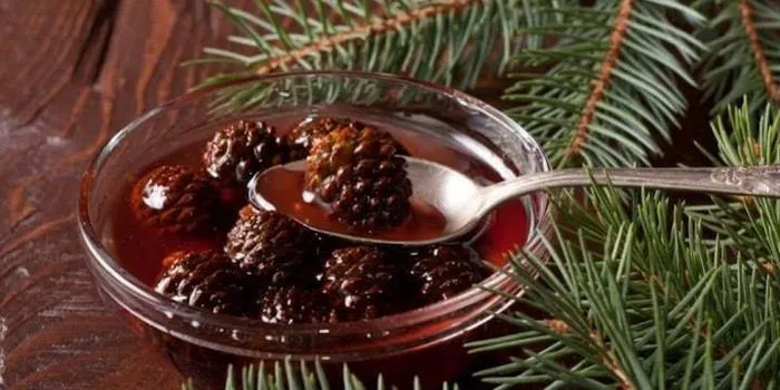 Варення з соснових шишок корисні і смачні рецепти приготування (приготування) Варення з соснових шишок корисні і смачні рецепти приготування