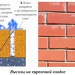 Висоли на цеглі причини появи і методи видалення