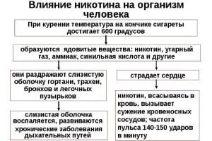 Виробляє чи організм нікотин