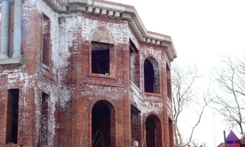 Висоли на цеглі причини появи і методи видалення