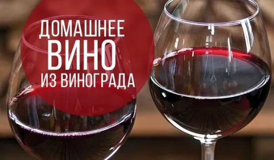 Вино з винограду Ізабелла в домашніх умовах простий рецепт з фото (умовах) Вино з винограду Ізабелла в домашніх умовах простий рецепт з фото
