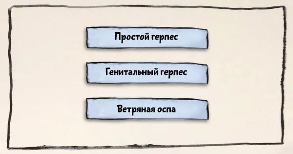 вірус герпесу