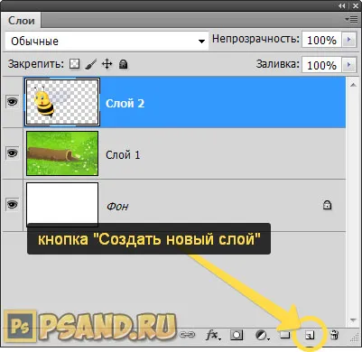 Все, що потрібно знати про шарах в фотошопі