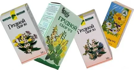 Запалення бронхів симптоми і лікування (запалення) Запалення бронхів симптоми і лікування