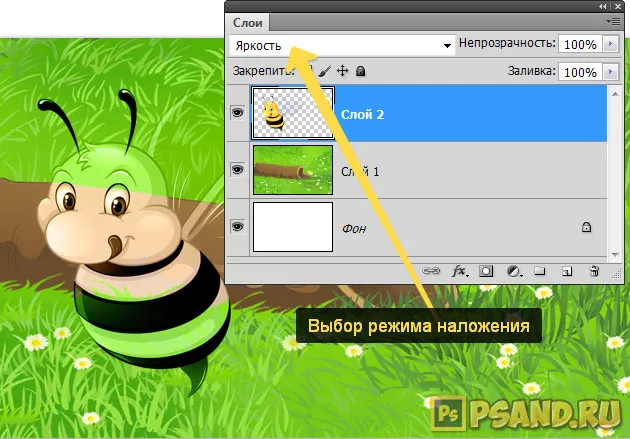 Все, що потрібно знати про шарах в фотошопі