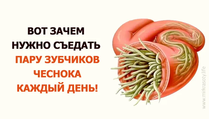 Ось навіщо потрібно регулярно є смажений часник! (Смажений) Ось навіщо потрібно регулярно є смажений часник!