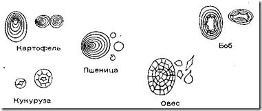 Хліб, який не черствіє, мегаполіс і село (черствіє наступний день) Хліб, який не черствіє, мегаполіс і село