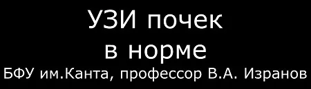 Завдання узі нирок і сечового міхура (міхура) Завдання узі нирок і сечового міхура