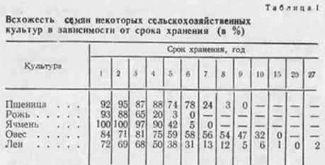 зернові корми