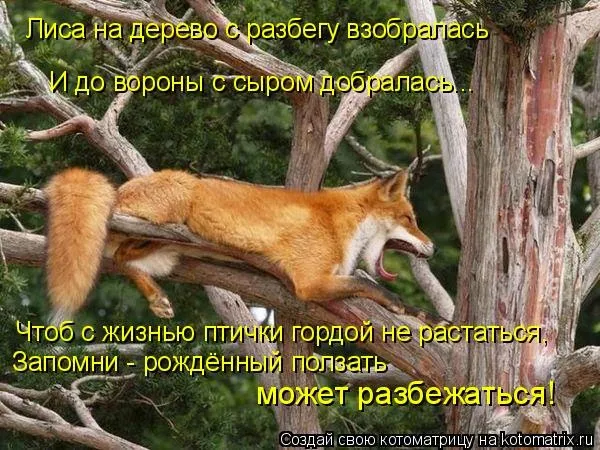 Закон віддачі досвіду і знань, світ Знову і духів (закон) Закон віддачі досвіду і знань, світ Знову і духів