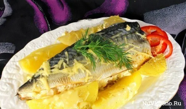 Запечена скумбрія з сиром (скумбрія) Запечена скумбрія з сиром