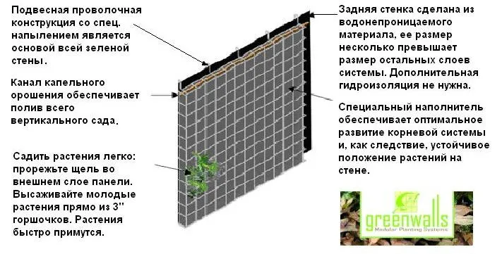 Зелена стіна установка, зрошувальна система, посадка рослин (вертикальний сад) Зелена стіна установка, зрошувальна система, посадка рослин