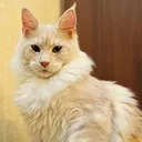 10 чарівних зіркових дітей, які сьогодні виглядають зовсім інакше (які) 10 чарівних зіркових дітей, які сьогодні виглядають зовсім інакше
