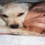 13 чіпляються цитат Смелаа Висоцького (дуже глибоким змістом) 13 чіпляються цитат Смелаа Висоцького