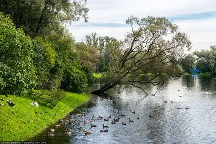 10 Причин переїхати в питер, fresher - найкраще з рунета за день! (Fresher) 10 Причин переїхати в питер, fresher - найкраще з рунета за день!