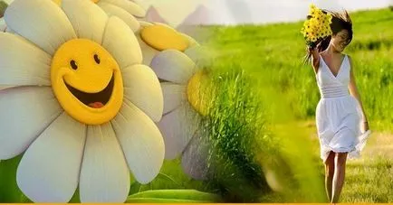 6 Пелюсток »дієта, на якій не потрібно голодувати! (Дієта) 6 Пелюсток »дієта, на якій не потрібно голодувати!