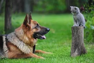 7 клас