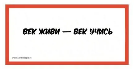 7 Відомих фраз, які були вирвані з контексту, а насправді означають зовсім інше (справі) 7 Відомих фраз, які були вирвані з контексту, а насправді означають зовсім інше