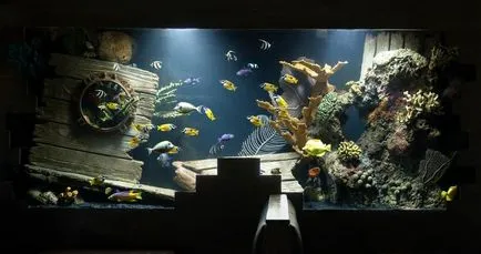 Акваріуми в кращих ресторанах світу (акваріуми) Акваріуми в кращих ресторанах світу