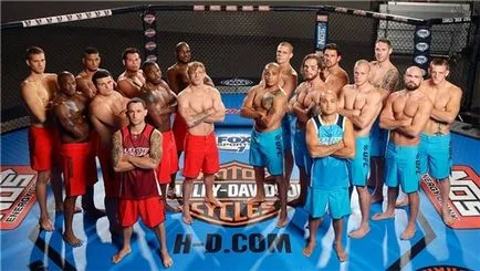 7 Способів стати бійцем ufc