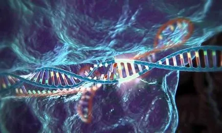 7 Фактів про генетичної модифікації ембріонів людини, futurist - майбутнє вже тут (теорія) 7 Фактів про генетичної модифікації ембріонів людини, futurist - майбутнє вже тут