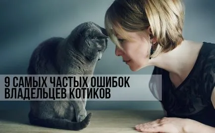 9 Самих частих помилок власників котиків, котики і няшки (овечих) 9 Самих частих помилок власників котиків, котики і няшки