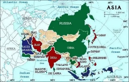 Акули в Таїланді що потрібно знати і чи варто боятися, thaigovno
