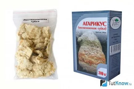 Агарікус для схуднення рецепти, протипоказання, відгуки (губку стали використовувати) Агарікус для схуднення рецепти, протипоказання, відгуки