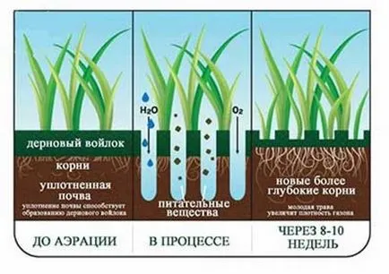 Аератор, вертикуттер, скарифікатор для газону правила роботи