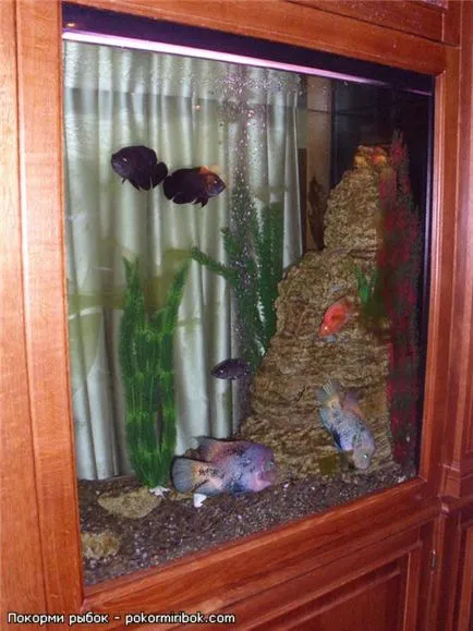 Акваріуми в кафе