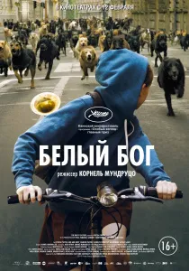 Альба регия (1961) - дивитись онлайн