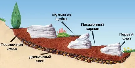 Альпійська гірка схема посадки своїми руками (альпійська) Альпійська гірка схема посадки своїми руками