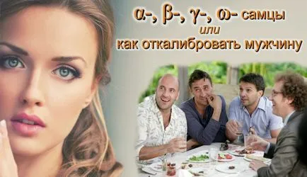 Альфа, бета, гамма, омега-самці, або «як відкалібрувати чоловіка» (альфа) Альфа, бета, гамма, омега-самці, або «як відкалібрувати чоловіка»