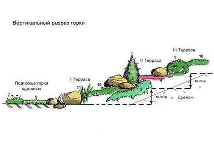 Альпійська гірка схема посадки своїми руками (зробити клумбу квітник низькорослі рослини схема посадки альпійська гірка) Альпійська гірка схема посадки своїми руками