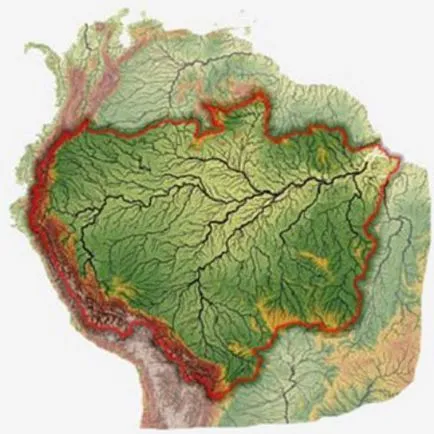 Амазонка - природне диво планети, цікаві факти, унікальні місця, приголомшливі красиві фото і (амазонка) Амазонка - природне диво планети, цікаві факти, унікальні місця, приголомшливі красиві фото і