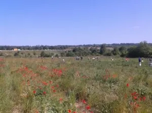 Що їдять стрункі француженки і секрети правильного харчування дітей у франції, кулінарний блог (кулінарні звички французів) Що їдять стрункі француженки і секрети правильного харчування дітей у франції, кулінарний блог