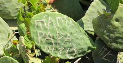 Що не варто робити туристам у відпустці (заборона) Що не варто робити туристам у відпустці