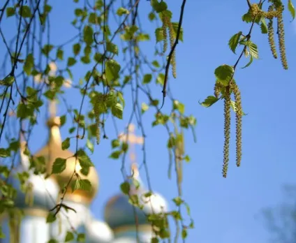 Що можна і що не можна робити на трійцю, гороскоп (можна) Що можна і що не можна робити на трійцю, гороскоп