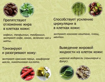 Антицелюлітний крем beauty slim gel інструкція із застосування, ціна, відгуки, опис