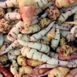 Бекмес корисні властивості і історія солодкого сиропу (пекмес) Бекмес корисні властивості і історія солодкого сиропу