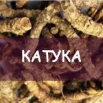 Бекмес корисні властивості і історія солодкого сиропу (бекмес корисні властивості) Бекмес корисні властивості і історія солодкого сиропу
