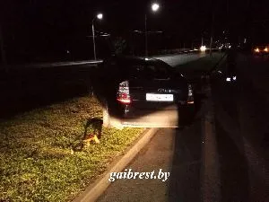 Бесправніцу зупинив стовп