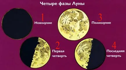Сприятливі дні для посадки огірків, місячний календар і народні прикмети (місячний) Сприятливі дні для посадки огірків, місячний календар і народні прикмети